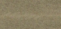 ELITE